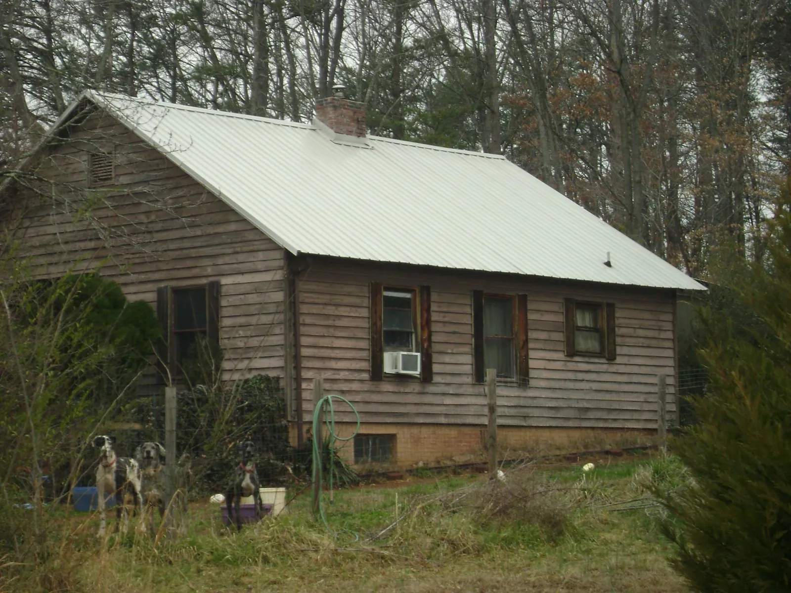 White metal roof on an old wood sided farmhouse, from a Asphalt Shingle Roof Repair job in Willard